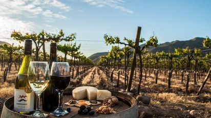 Alianza de Fedetur y Latam movilizó periodistas de Brasil