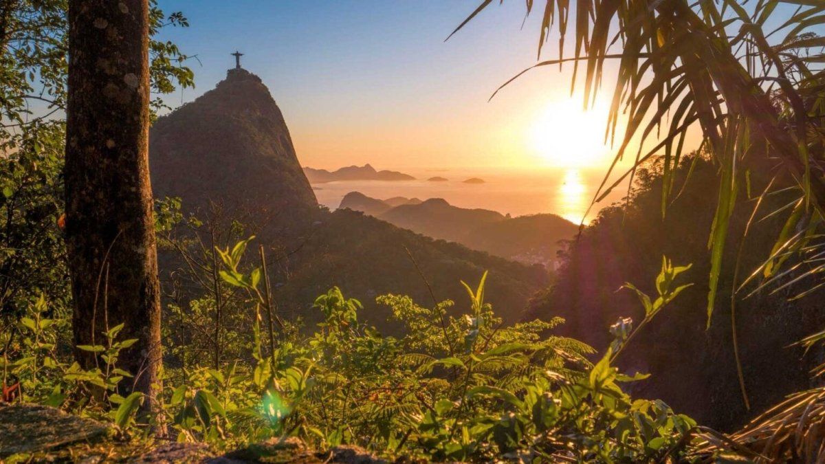 Vacaciones en Brasil: estos 5 paseos originales te invitan a conocer el lado B de Río de Janeiro.&nbsp;