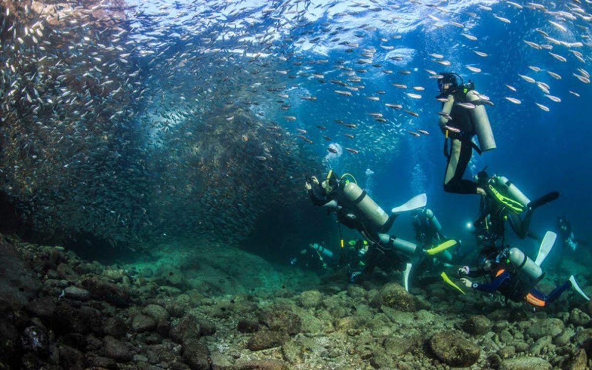 Respecto a la duración de la estancia en Baja California Sur, el patrón más frecuente es de siete días, con el 27.14%. Respecto a la duración de la estancia en Baja California Sur, el patrón más frecuente es de siete días, con el 27.14%.
