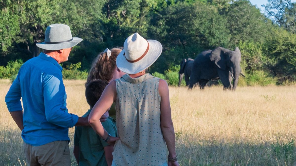 Es posible ver elefantes cruzando senderos durante un safari matutino en Sabi Sabi en Sudáfrica.