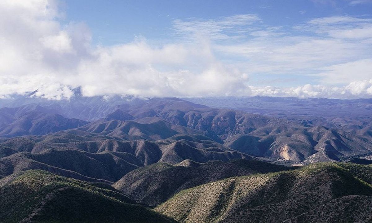 Este puente conoce la biodiversidad de la Sierra Gorda de Querétaro.