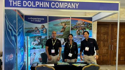 The Dolphin Company: 30% de descuento por su 30° aniversario