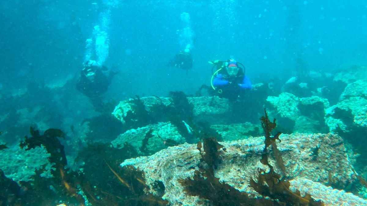 Turismo interno Con viento a favor: el plan de Comodoro Rivadavia para salvar la temporada de verano.