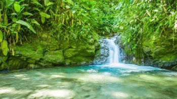 El Chocó Andino posee innumerables atractivos turísticos para los amantes de la naturaleza y la biodiversidad.