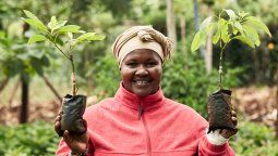 Europamundo: en septiembre se creó el Bosque de la empresa a través de Treedom continuando con sus grandes iniciativas en materia de sostenibilidad y Responsabilidad Social Empresarial (RSE).