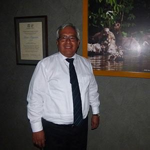 - Ladevi Medios y Soluciones