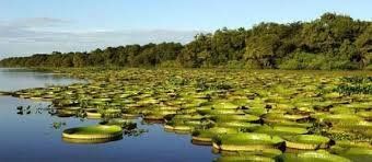 Encuentro para la reactivación turística.
