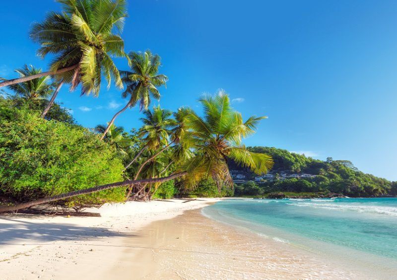 La invitación de los actores del sector del turismo para visitar San Andrés. 