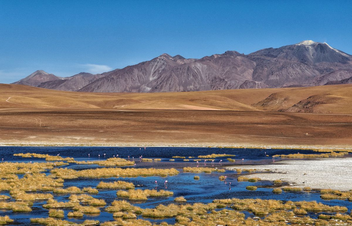 Este nombramiento del Desierto de atacama por Lonely Planet se suma al premio otorgado en los World Travel Awards. 
