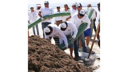 Impulsan en Quintana Roo servicios en tierra por crisis de sargazo