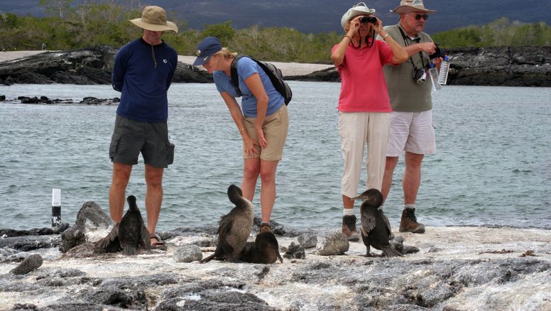 El turismo en Galápagos evidencia una recuperación total debido a las cifras registradas en la actualidad. 