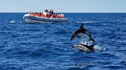 Comarca Península Valdés: un escenario único para conocer a las ballenas