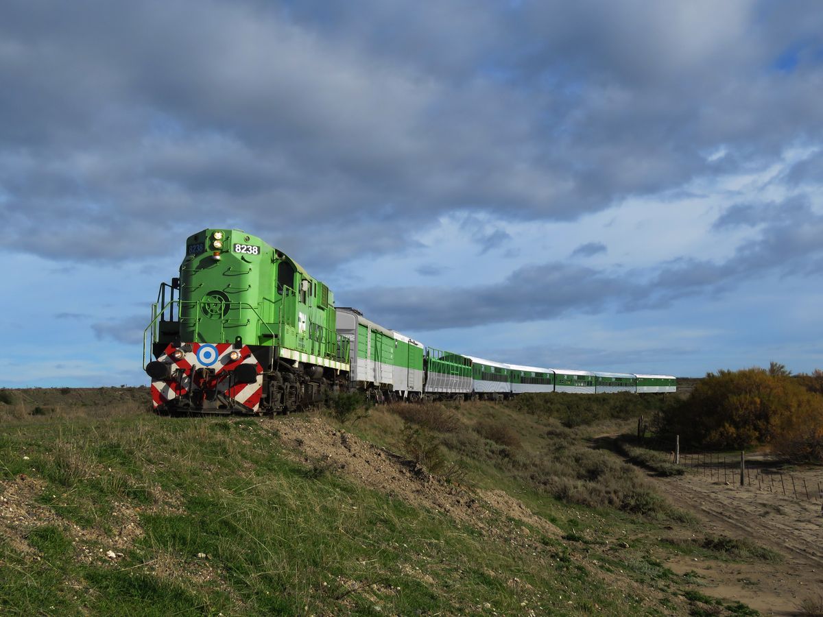 El Tren Patagónico de larga distancia recorre los paisajes de la meseta del sur de Río Negro.