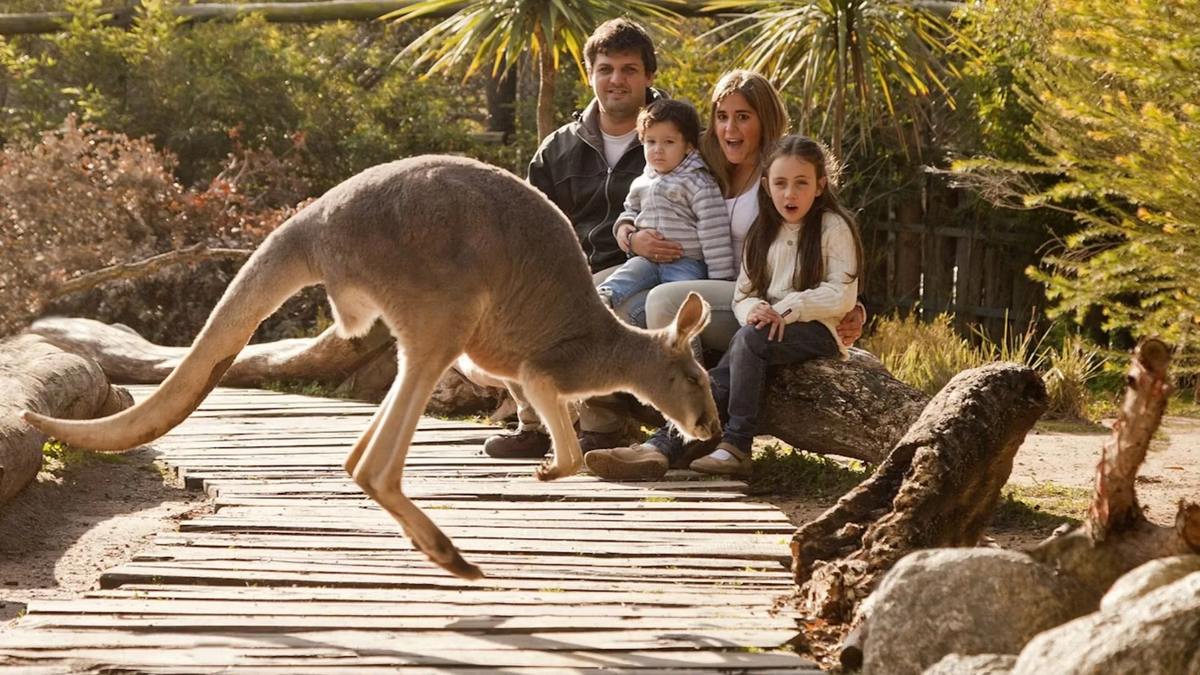 Temaikén es un gran atractivo para las familias bonaerenses en las vacaciones de invierno.
