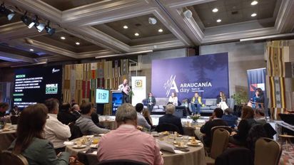 Como un éxito fue calificada esta versión del Araucanía Day.&nbsp;