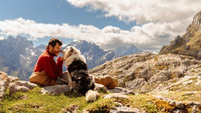 Descubrí cuáles son los requisitos para viajar con mascotas en el territorio de Argentina.
