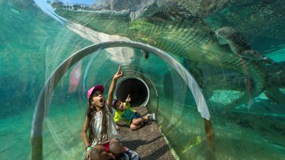 Explore Miami: descuentos y experiencias exclusivas para recorrer la ciudad