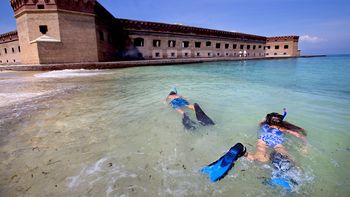 Esnórquel en Fort Jefferson Dry Tortugas, en el extremo sur de Florida.