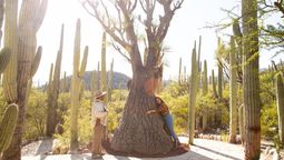 En los últimos años, Puebla ha impulsado estrategias de promoción turística más dinámicas, experiencias inmersivas y productos que conectan con el visitante.