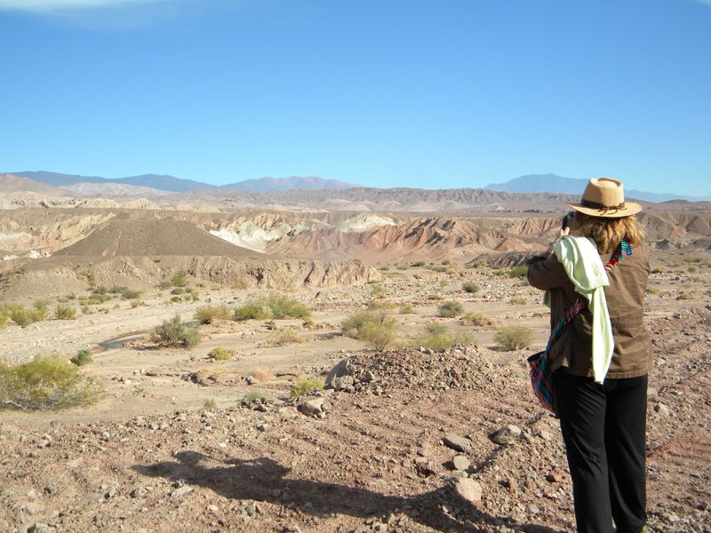 Los Paisajes de Catamarca nos regalan hermosas postales a la vera del camino.