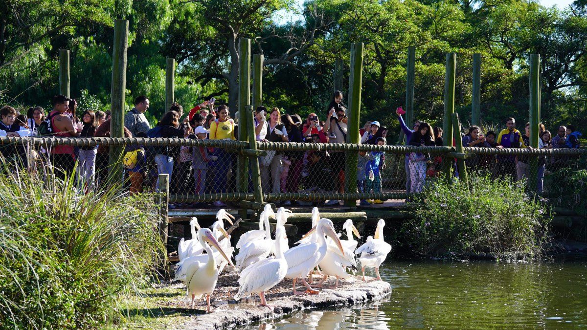 Desde el 21 de septiembre los visitantes podrán recorrer el Gran Aviario de Temaikèn.