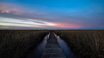 Semana Santa: reservas naturales en la Provincia de Buenos Aires para pasar un fin de semana de desconexión