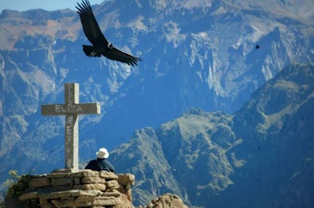 Las autoridades de Arequipa suspendieron las visitas turísticas al Mirador de la Cruz del Cóndor, ubicado en el Valle del Colca. - Ladevi Medios y Soluciones Las autoridades de Arequipa suspendieron las visitas turísticas al Mirador de la Cruz del Cóndor, ubicado en el Valle del Colca.