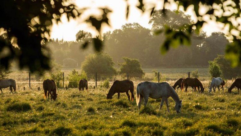 Turismo Rural de Argentina destacará en Festuris Connection Experience.