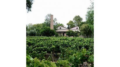 Vino de guarda y con personalidad