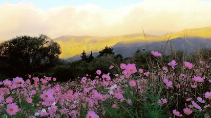 El pueblito de Córdoba rodeado de refrescantes arroyos y flores para este verano