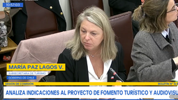 María Paz Lagos, subsecretaria de Turismo, presentó las indicaciones al proyecto de Ley de Reactivación Turística en la Comisión de Economía del Senado.