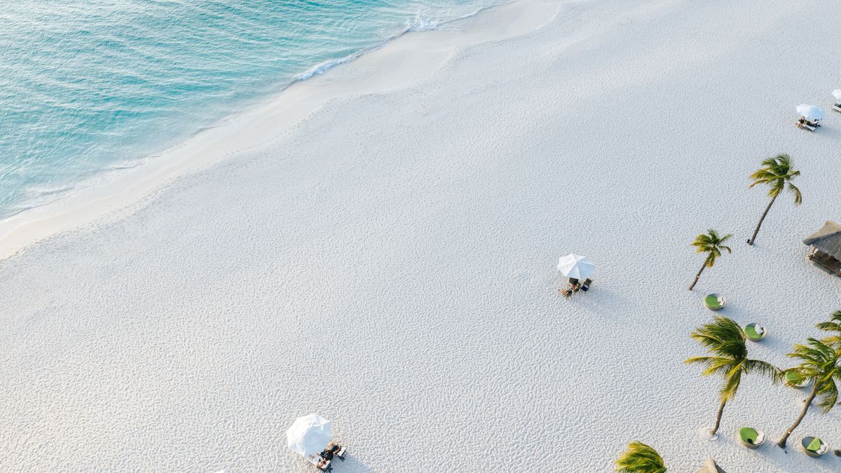 Eagle Beach, en Aruba. - Ladevi Medios y Soluciones Eagle Beach, en Aruba.