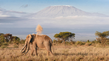 Descubre las culturas, la belleza natural y las atracciones imperdibles de estos países de África Central.