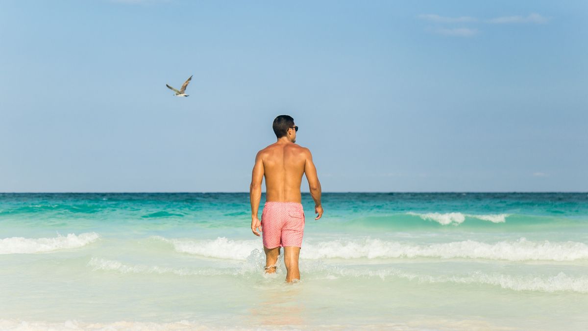 Vacaciones en el Caribe: descubrí estos lugares espectaculares para vivir un descanso libre de sargazo.