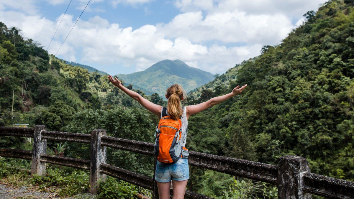 Jamaica: las Blue Mountains es un destino donde cada paso es una conexión con la naturaleza y donde la cultura local se vive con orgullo. Jamaica: las Blue Mountains es un destino donde cada paso es una conexión con la naturaleza y donde la cultura local se vive con orgullo.