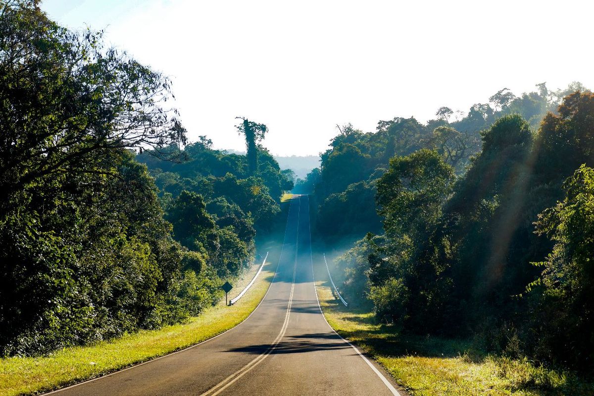 Vacaciones de invierno 3 rincones poco conocidos para visitar en Misiones