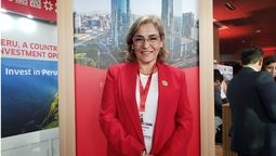 La viceministra Madeleine Burns afirmó que el Perú tiene los medios suficiente para regresar a los números de 2019.