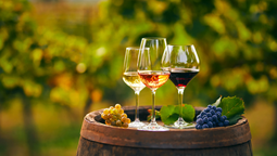 Los Premios Enoturismo Chile buscan premiar la oferta y a los profesionales de la cultura vitivinícola del país. 