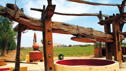 Conoce todas las actividades turísticas que puedes realizar en Ica.