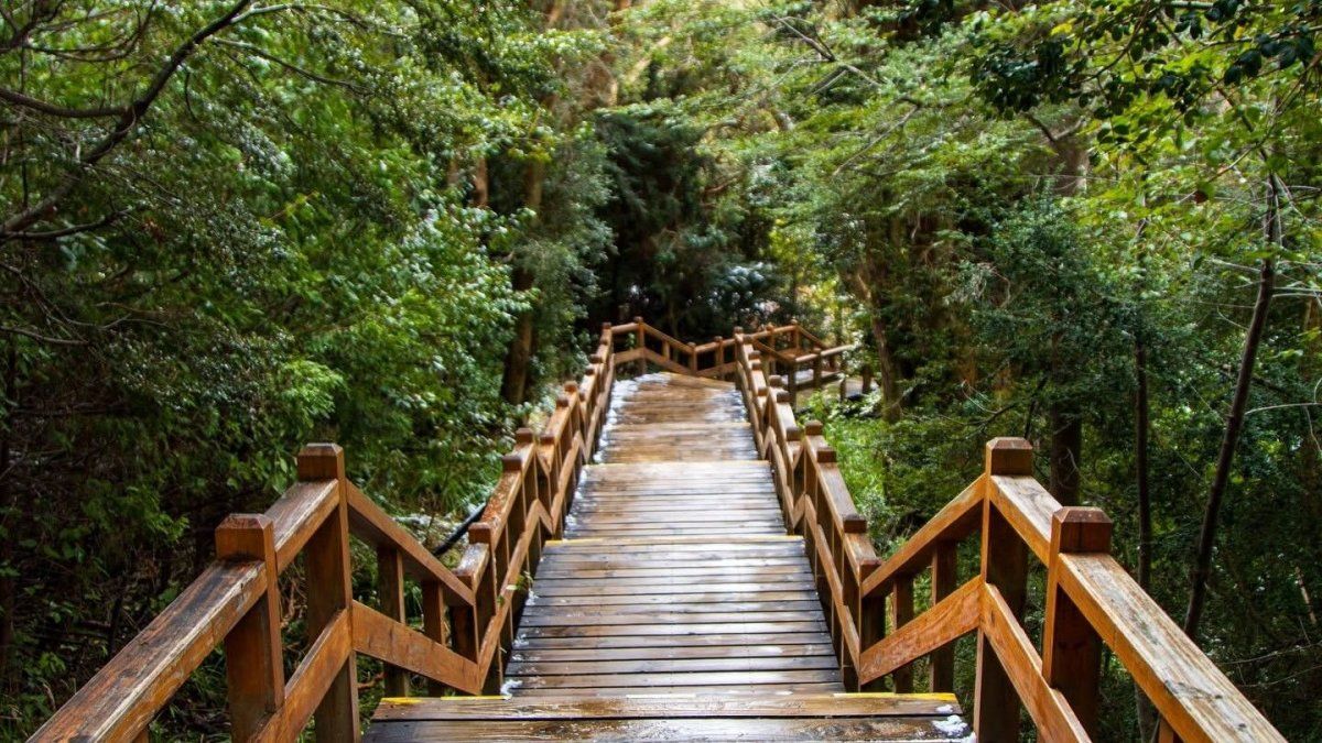 Escapadas a Patagonia: viajar a Villa Traful no solamente propone contemplar paisajes bellísimos, sino también disfrutar de una experiencia cultural de calidad.