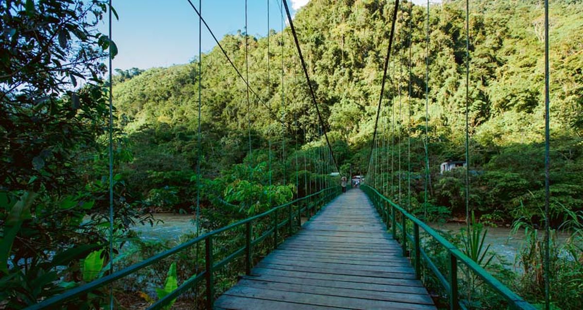 El parque de Tingo María obtuvo el segundo lugar en la categoría comunidades prósperas del Green Destinations Story Awards 2023.