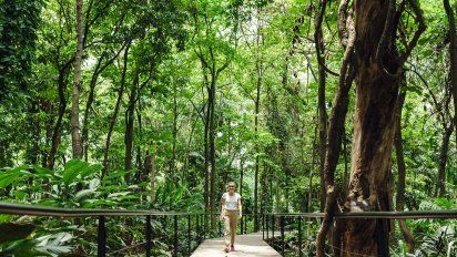 Naturaleza en la ciudad de la eterna primavera