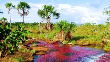 Escapadas: ¿Qué hacer en Guaviare?