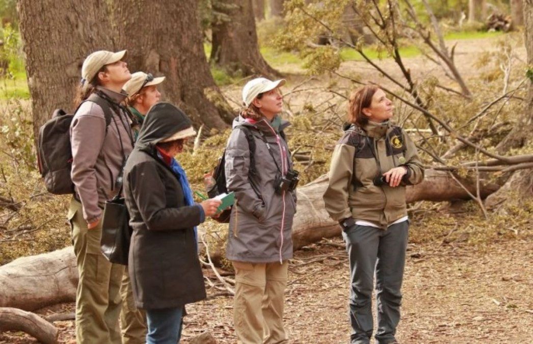 Santa Cruz mantiene la obligatoriedad de tener guías de turismo en los Parques Nacionales.