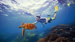 Australia invita a vivir una experiencia increíble en tus vacaciones.