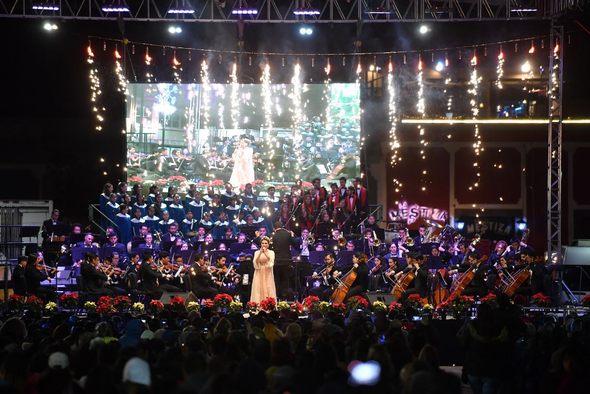 Este año podremos ver muestras artísticas de Brasil, Japón, Chile, Italia, Argentina y Colombia.