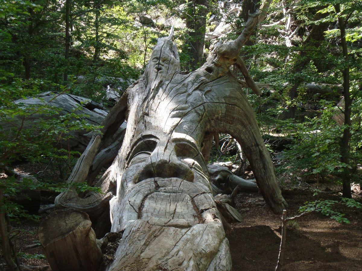 El Bosque Tallado fue un bosque quemado intervenido por un artista local. El Bosque Tallado fue un bosque quemado intervenido por un artista local.