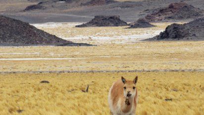 Semana Santa en Tucumán: 3 paseos para hacer en Tafí del Valle