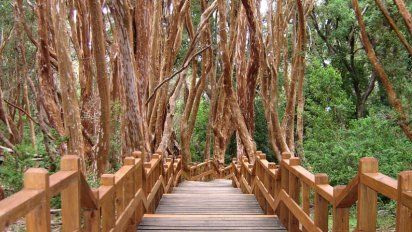 3 Destinos increíbles para conocer en Semana Santa 2022