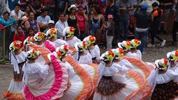 Decretan reducción del IVA para feriado de Carnaval.